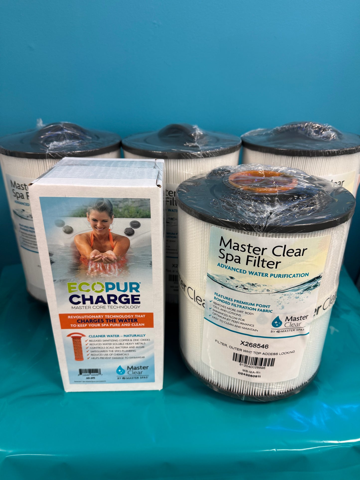 Swim Spa Filter Set (2025 or newer)